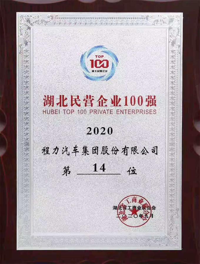 湖北省民營企業100強第19位